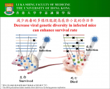 研究發現減少病毒的多樣性能提高感染小鼠的存活率。